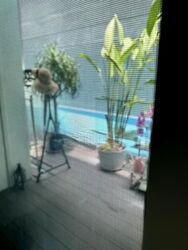 Grandview Suites (D14), Apartment #628778291